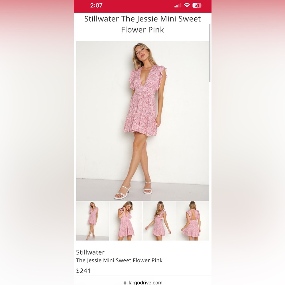 WEDDING SEASON: Stillwater Mini dress. Worn 1x for an hour, dry cleaned & ready